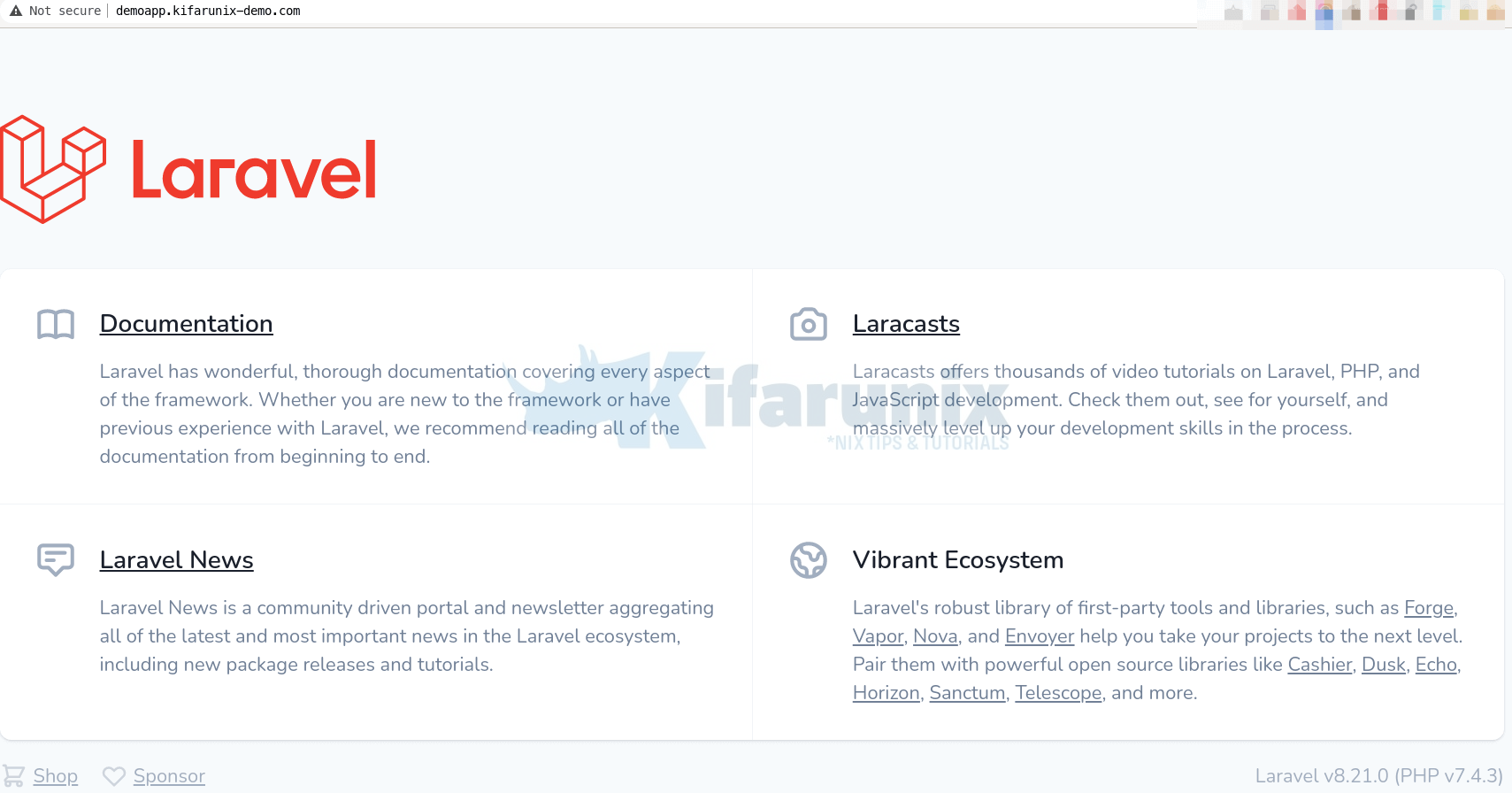 laravel web interface