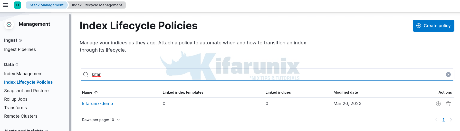 custom ilm policy 1