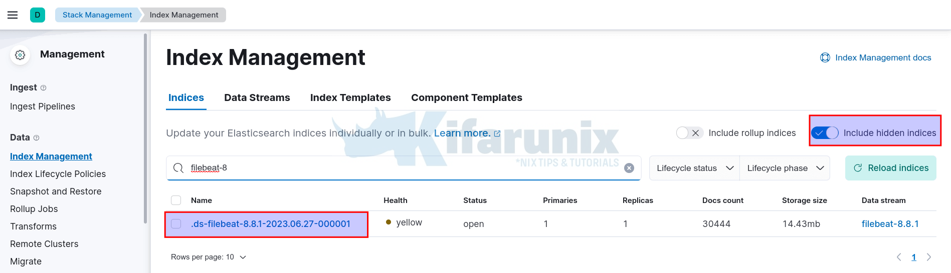 Configure Filebeat 8 to Write Logs to Specific Data Stream