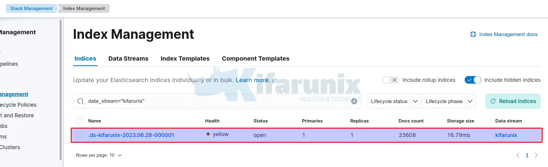 Configure Filebeat 8 to Write Logs to Specific Data Stream