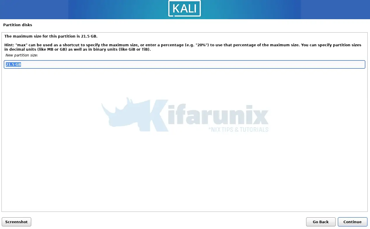 kali linux manual disk partitioning