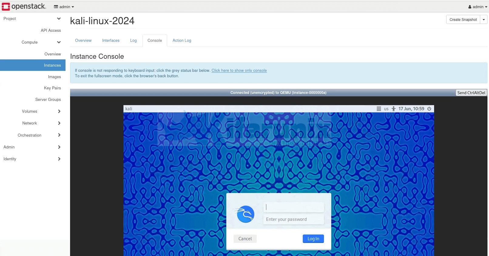 kali linux console openstack