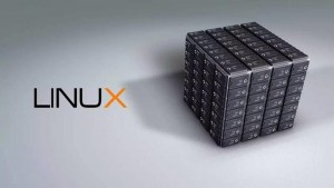 Linux命令