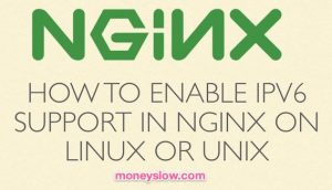 Nginx:如何安装配置Ipv6网络