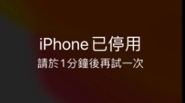 iphone密码忘记停用