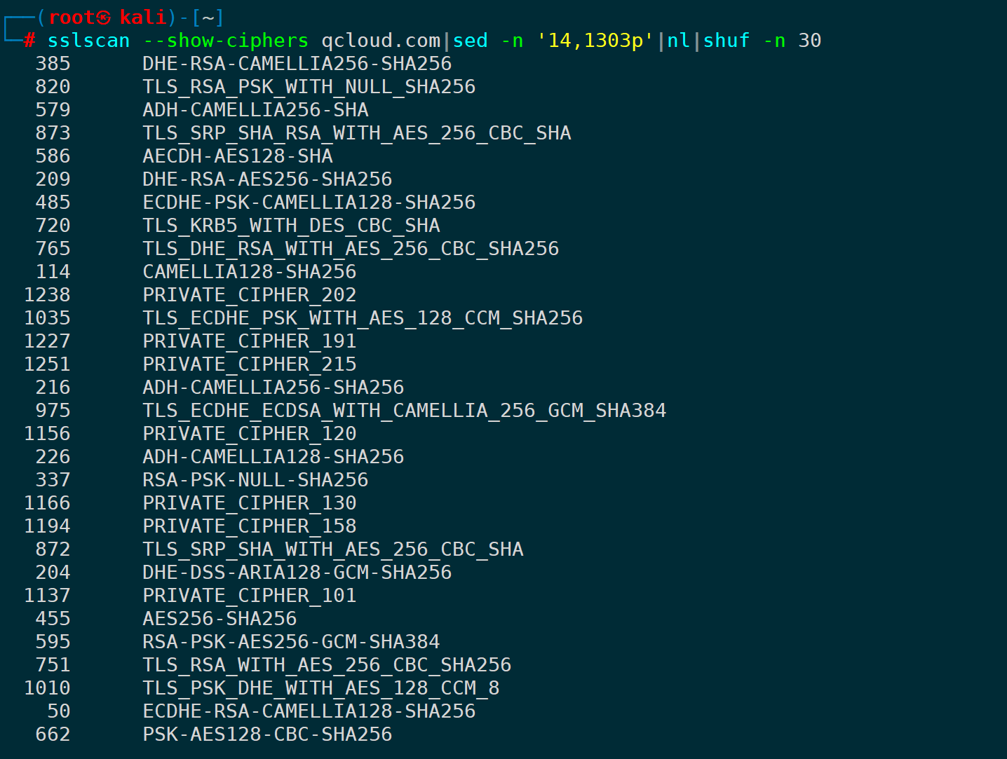 sslscan命令检测https证书使用方法